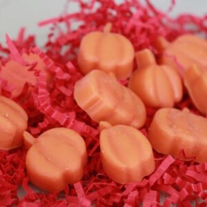 Pumpkin Delight Wax Melts • Autumn Scent, Fall Home Fragrance